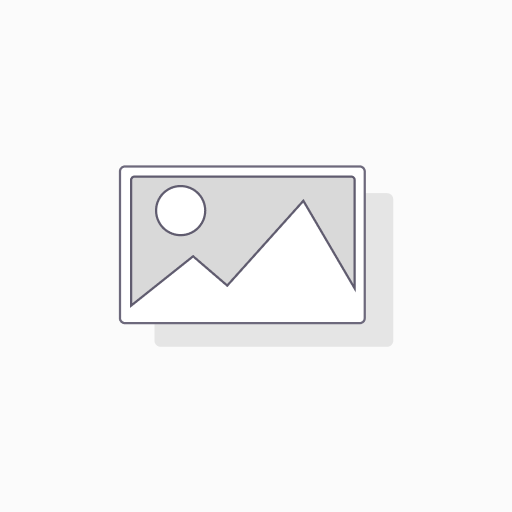 SEO - Pro